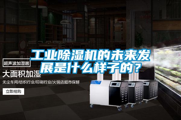 工業(yè)除濕機的未來發(fā)展是什么樣子的？