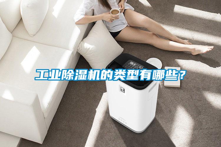 工業(yè)除濕機(jī)的類型有哪些？