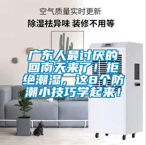 廣東人最討厭的回南天來了！拒絕潮濕，這8個防潮小技巧學(xué)起來！