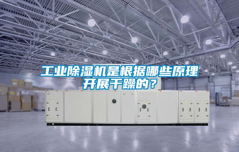 工業(yè)除濕機(jī)是根據(jù)哪些原理開(kāi)展干躁的？