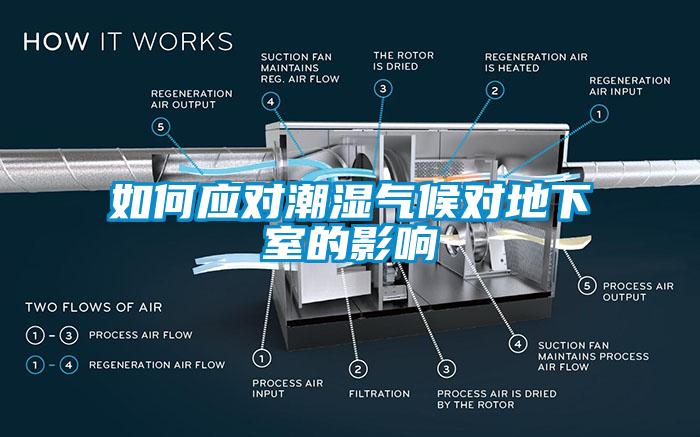 如何應(yīng)對潮濕氣候?qū)Φ叵率业挠绊?></div>
								<div   id=
