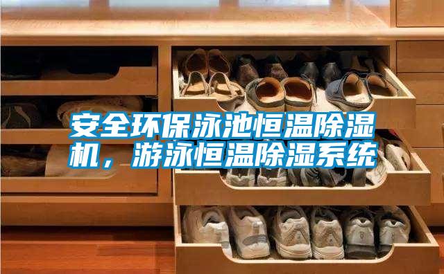 安全環(huán)保泳池恒溫除濕機(jī)，游泳恒溫除濕系統(tǒng)