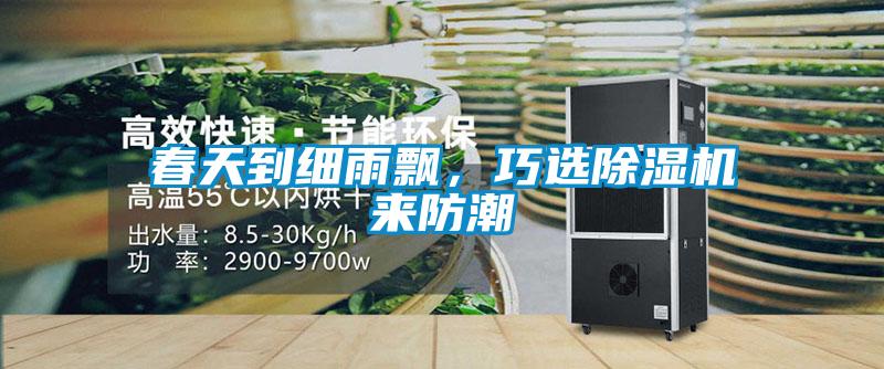 春天到細(xì)雨飄，巧選除濕機(jī)來防潮