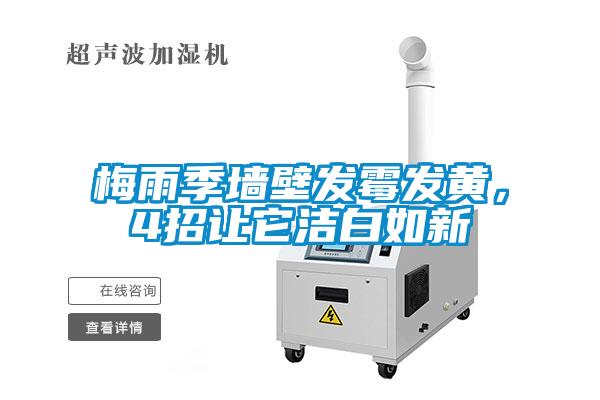 梅雨季墻壁發(fā)霉發(fā)黃，4招讓它潔白如新