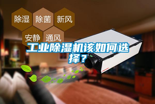 工業(yè)除濕機(jī)該如何選擇？