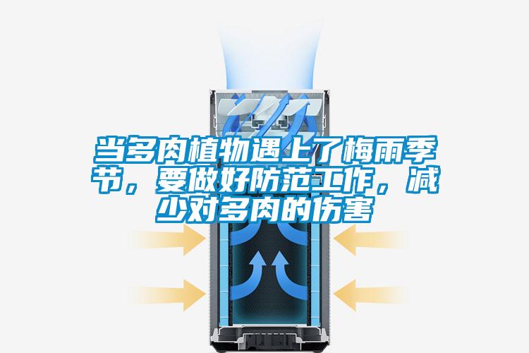 當(dāng)多肉植物遇上了梅雨季節(jié)，要做好防范工作，減少對多肉的傷害
