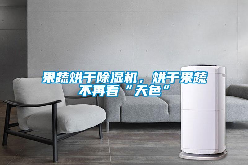果蔬烘干除濕機，烘干果蔬不再看“天色”