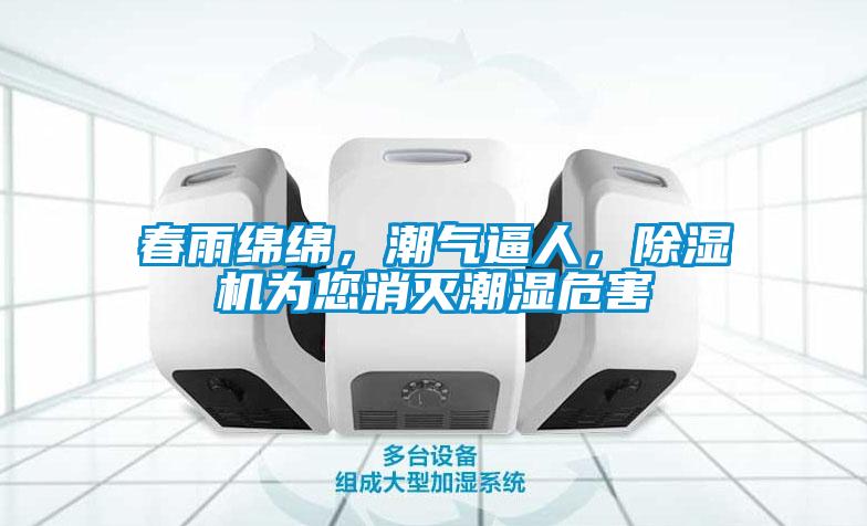 春雨綿綿，潮氣逼人，除濕機為您消滅潮濕危害