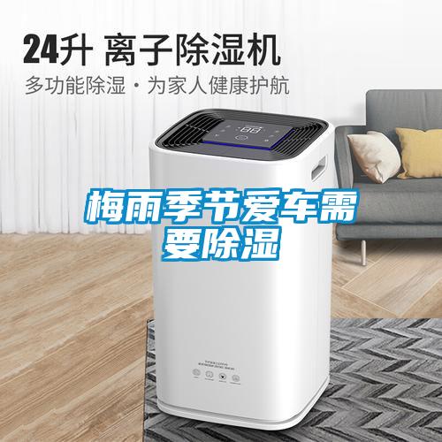 濕氣太重，大不如前！安詩曼除濕機還你健康好身體！