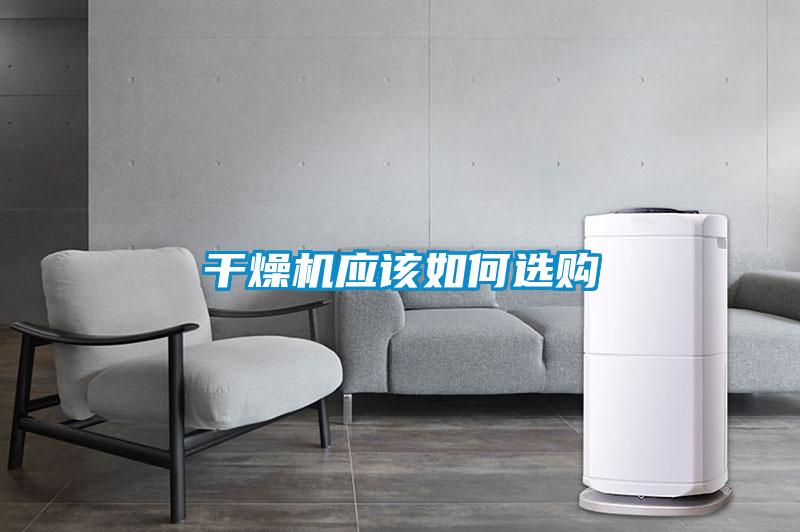 年年除濕年年濕，如何快速除濕？