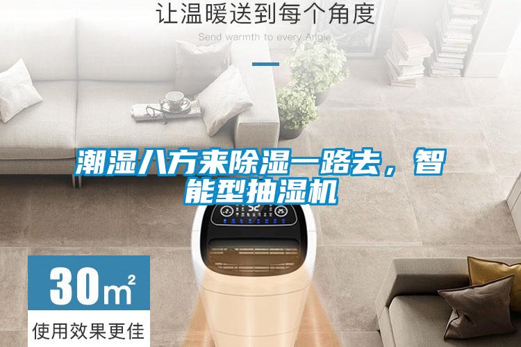 智能觸控除濕機，智能除濕無須等待