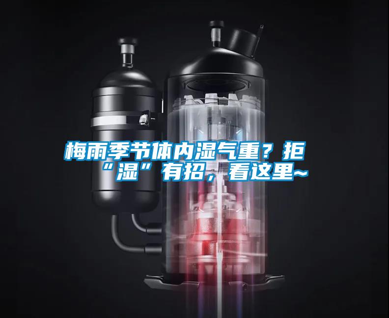 梅雨季節(jié)體內(nèi)濕氣重？拒“濕”有招，看這里~
