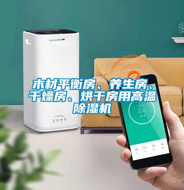 木材平衡房、養(yǎng)生房、干燥房、烘干房用高溫除濕機(jī)