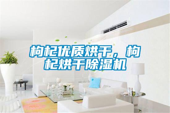 枸杞優(yōu)質(zhì)烘干，枸杞烘干除濕機