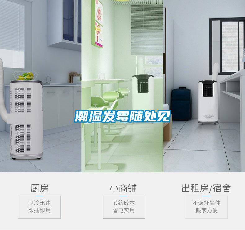干貨倉(cāng)庫(kù)怎么利用除濕機(jī)保持干爽？