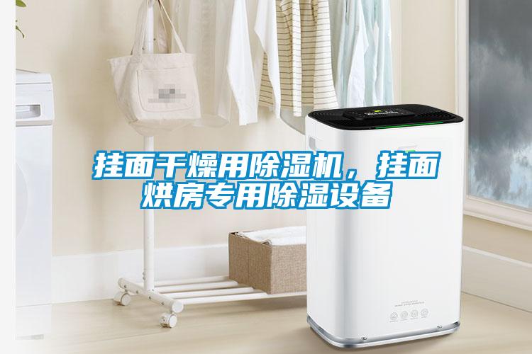 掛面干燥用除濕機，掛面烘房專用除濕設(shè)備