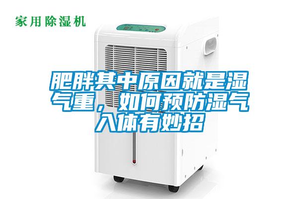肥胖其中原因就是濕氣重，如何預(yù)防濕氣入體有妙招