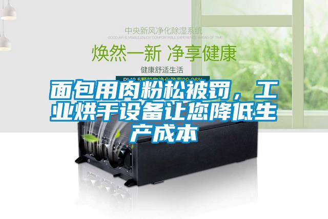 面包用肉粉松被罰，工業(yè)烘干設(shè)備讓您降低生產(chǎn)成本