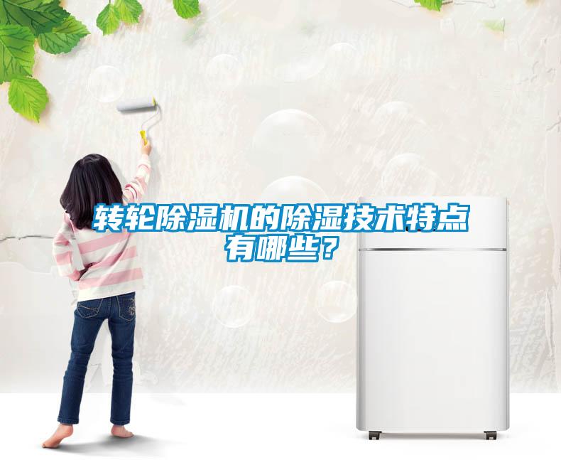 轉(zhuǎn)輪除濕機的除濕技術(shù)特點有哪些？