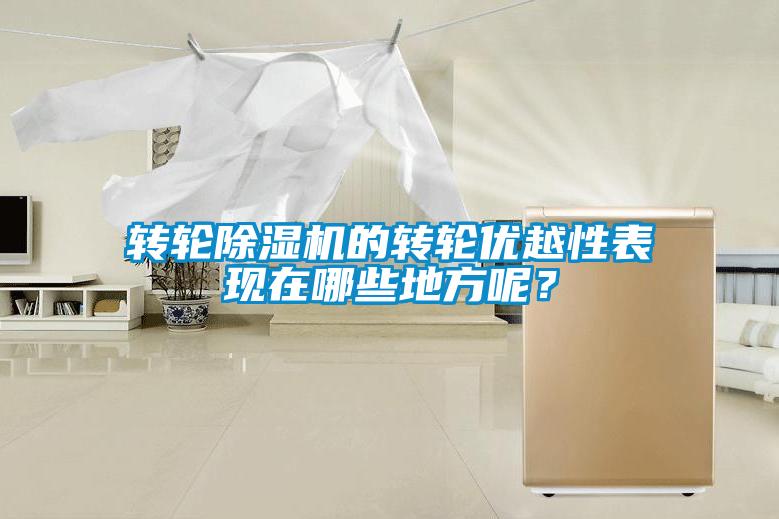 轉(zhuǎn)輪除濕機的轉(zhuǎn)輪優(yōu)越性表現(xiàn)在哪些地方呢？