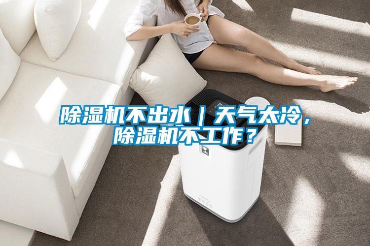 除濕機(jī)不出水｜天氣太冷，除濕機(jī)不工作？