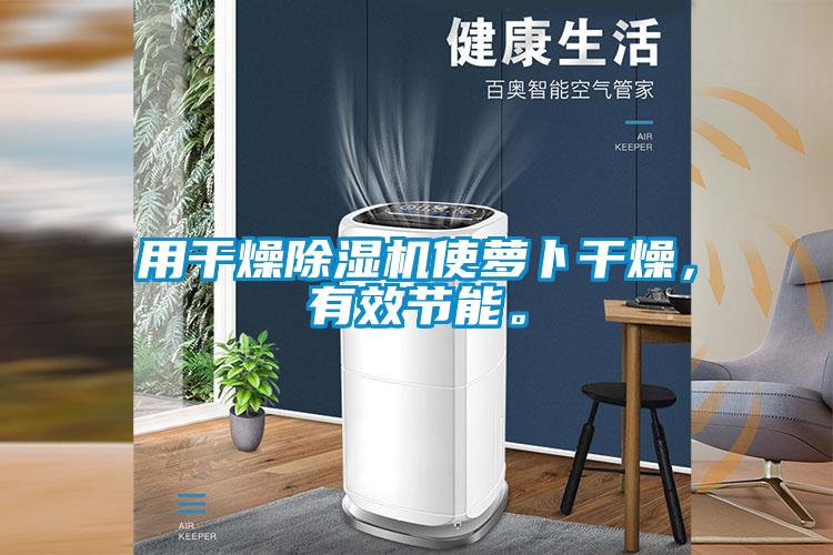 用干燥除濕機(jī)使蘿卜干燥，有效節(jié)能。
