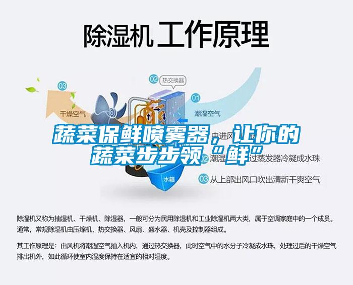 蔬菜保鮮噴霧器，讓你的蔬菜步步領(lǐng)“鮮”