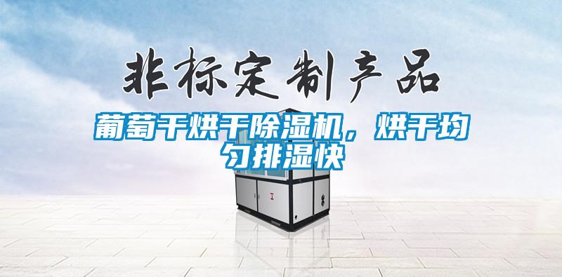 葡萄干烘干除濕機(jī)，烘干均勻排濕快