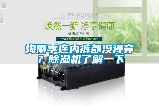 梅雨季連內(nèi)褲都沒(méi)得穿？除濕機(jī)了解一下