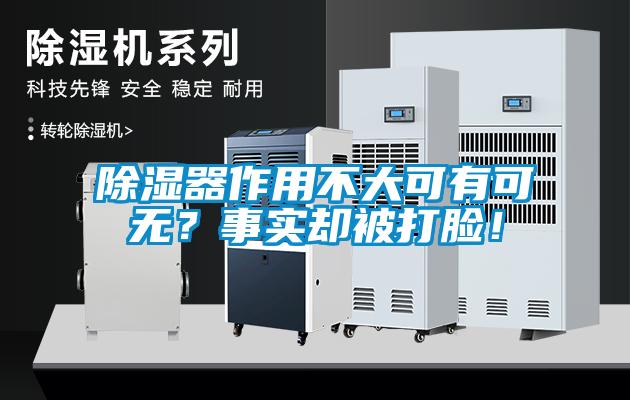 除濕器作用不大可有可無(wú)？事實(shí)卻被打臉！