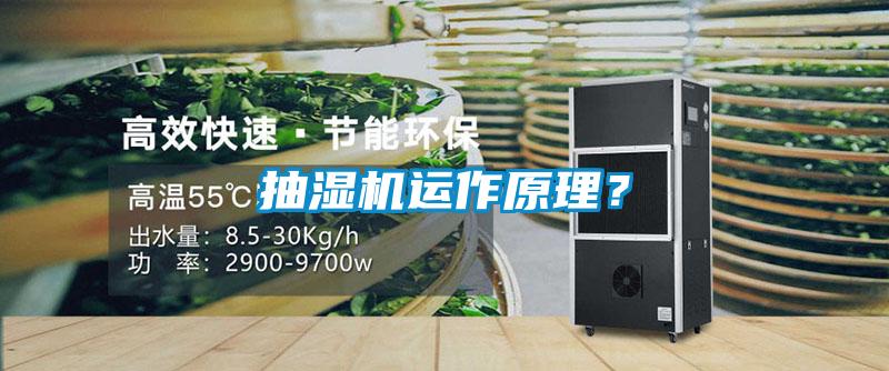 抽濕機(jī)運(yùn)作原理?