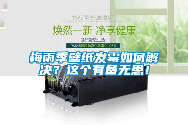 梅雨季壁紙發(fā)霉如何解決？這個有備無患！