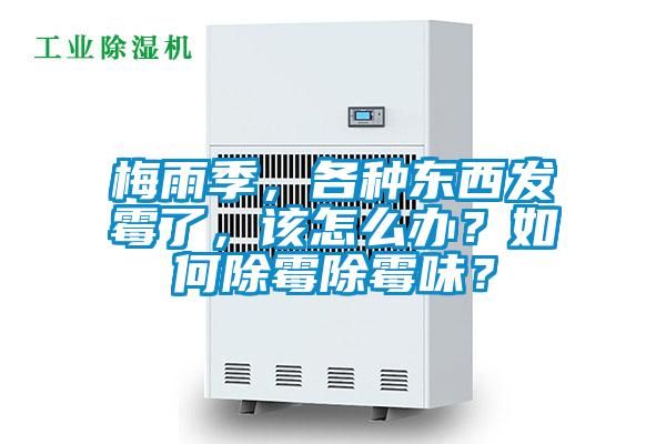 梅雨季，各種東西發(fā)霉了，該怎么辦？如何除霉除霉味？