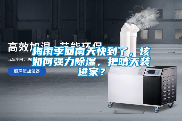 梅雨季回南天快到了，該如何強力除濕，把晴天裝進家？