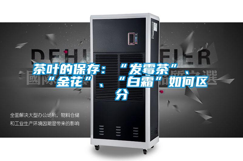茶葉的保存：“發(fā)霉茶”、“金花”、“白霜”如何區(qū)分
