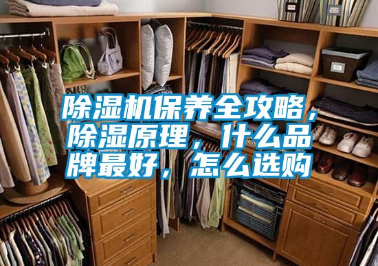 除濕機(jī)保養(yǎng)全攻略，除濕原理，什么品牌最好，怎么選購