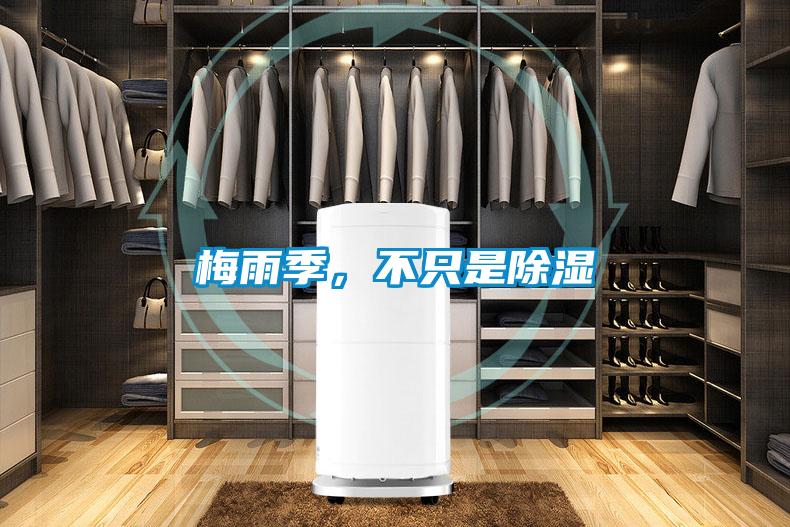 梅雨季，不只是除濕