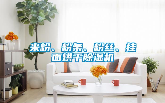 米粉、粉條、粉絲、掛面烘干除濕機