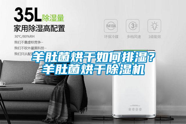 羊肚菌烘干如何排濕？羊肚菌烘干除濕機