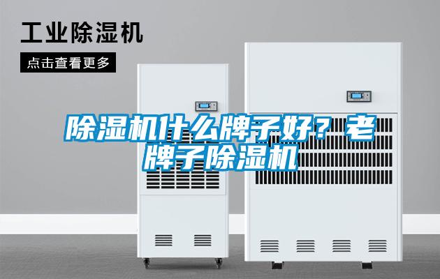 除濕機什么牌子好？老牌子除濕機