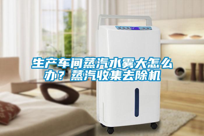 生產(chǎn)車(chē)間蒸汽水霧大怎么辦？蒸汽收集去除機(jī)