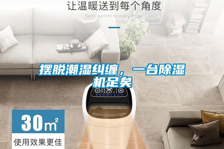 擺脫潮濕糾纏，一臺除濕機足矣