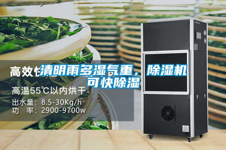 清明雨多濕氣重，除濕機可快除濕