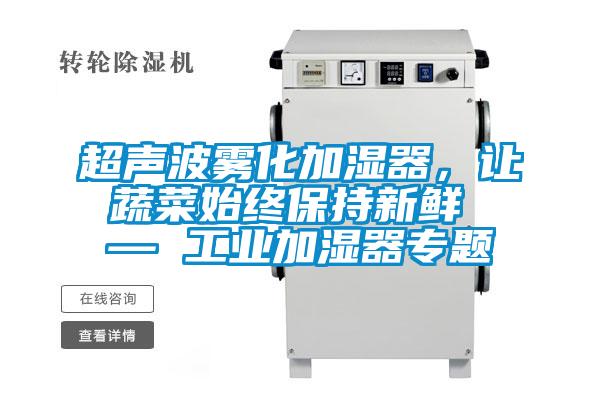 超聲波霧化加濕器，讓蔬菜始終保持新鮮 — 工業(yè)加濕器專題