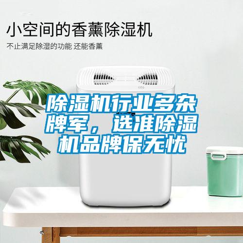 除濕機(jī)行業(yè)多雜牌軍，選準(zhǔn)除濕機(jī)品牌保無(wú)憂(yōu)