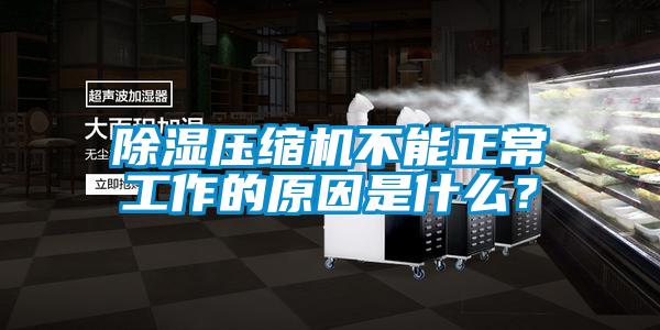 除濕壓縮機(jī)不能正常工作的原因是什么？