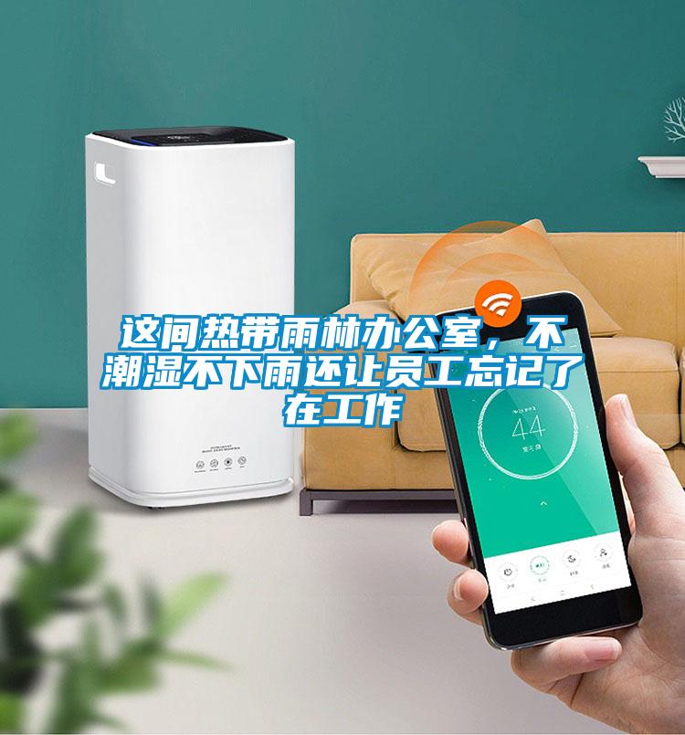 這間熱帶雨林辦公室，不潮濕不下雨還讓員工忘記了在工作