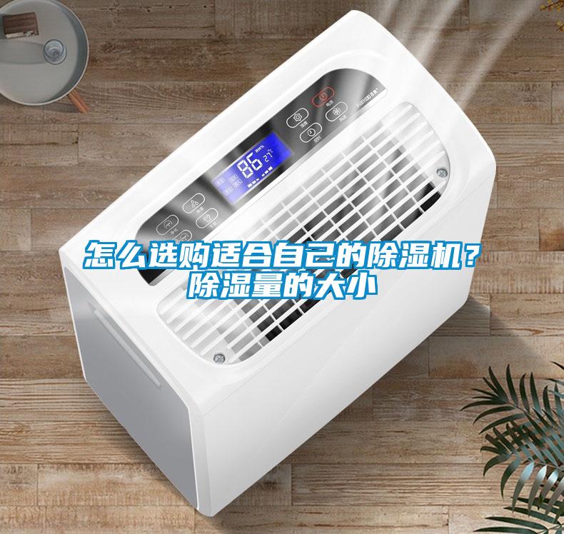 怎么選購(gòu)適合自己的除濕機(jī)？除濕量的大小