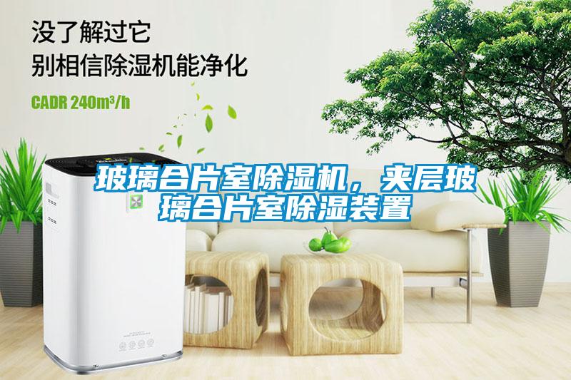 玻璃合片室除濕機，夾層玻璃合片室除濕裝置