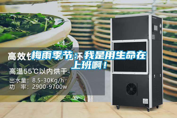 梅雨季節(jié)：我是用生命在上班??！